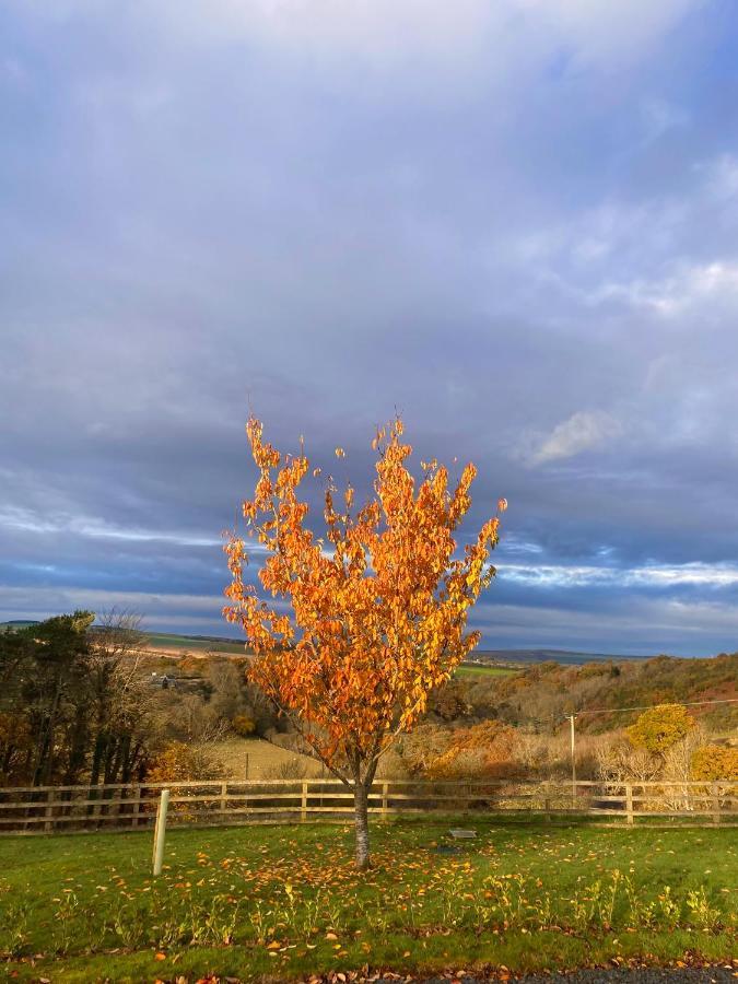 Leafywood Bed and Breakfast Jedburgh Esterno foto